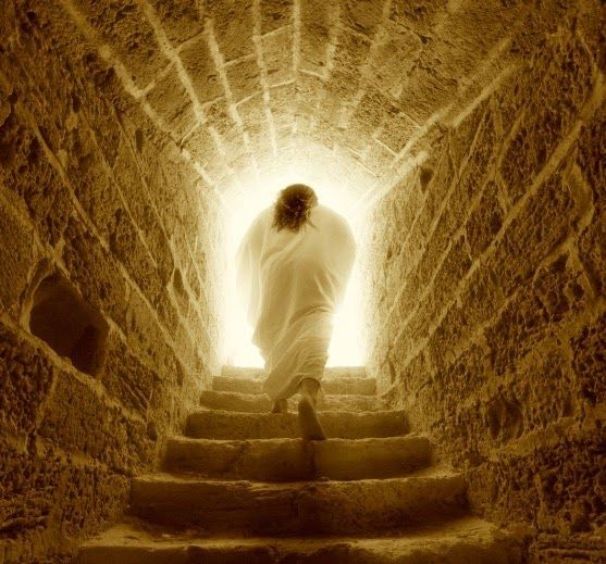 Salvation And Survival