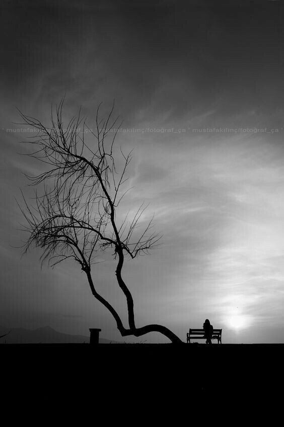 Sometimes It’s Necessary To Be Alone With&nbsp;Yourself