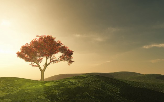 Be A More Peaceful Believer