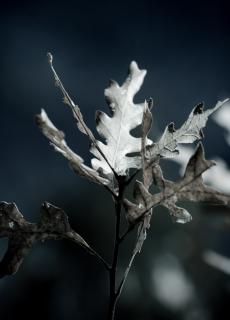 You Have The Power To Change Your&nbsp;Life