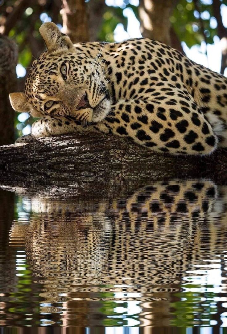 How To Value Your Needs: Breaking Free From Your Comfort&nbsp;Zone