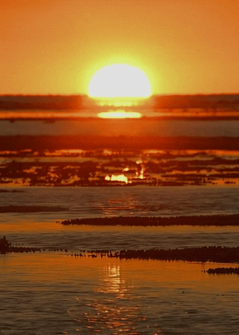 2 Keys to Get Rid of Strife and Live in Peace