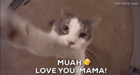 Happy Mother’s Day To Every Mother And Mother To – Be