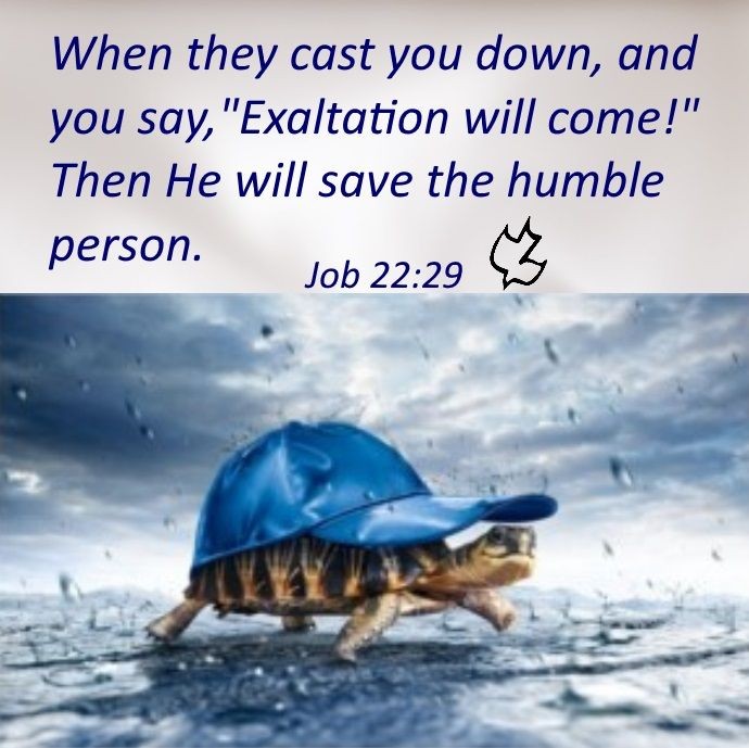 Job 22-29: When They Say There Is A Casting Down, You Scream There Is A Lifting&nbsp;Up