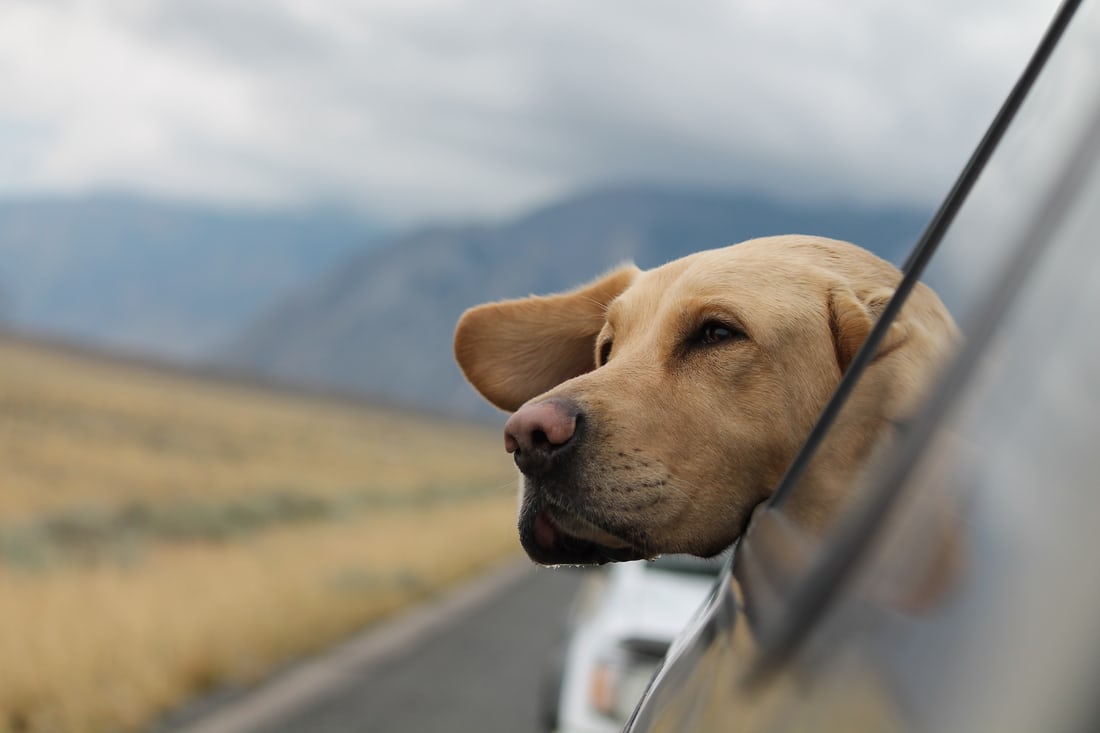 The Tiny Little Secret That Gives You Permission To Enjoy Anything